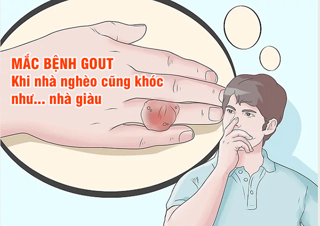 Nhà Phân Phối Thuốc Thật