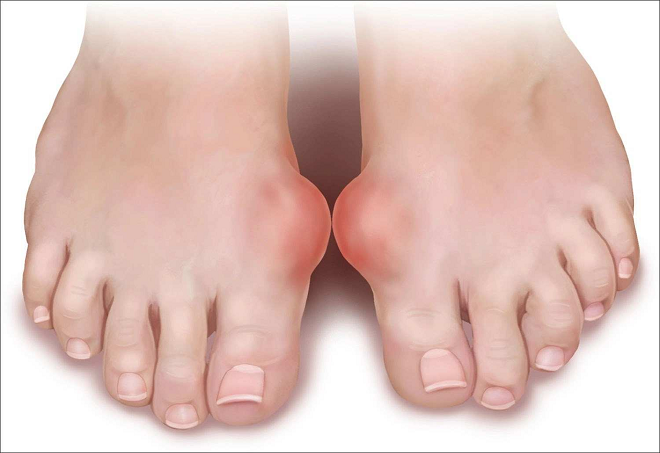 Nhà Phân Phối Thuốc Thật