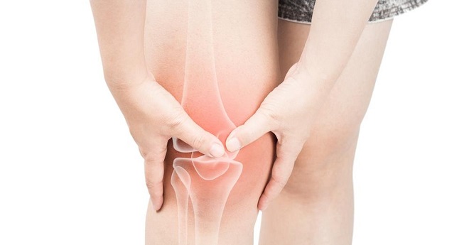 Nhà Phân Phối Thuốc Thật
