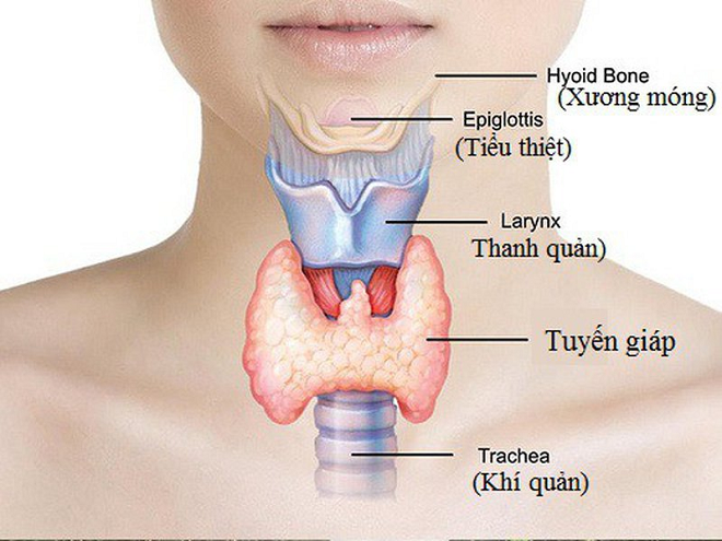 Nhà Phân Phối Thuốc Thật