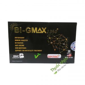 Bi-gmax 1350