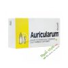 Thuốc Auricularum - Điều trị viêm tai ngoài