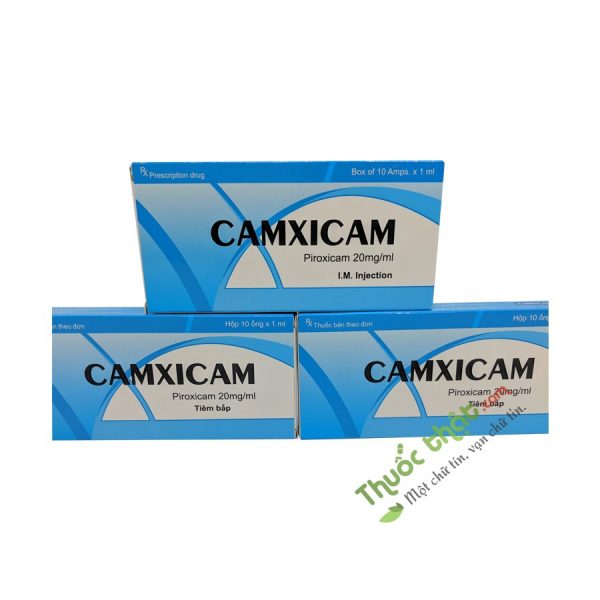 Camxicam