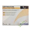 Ceftriaxone 1g - Thuốc điều trị nhiễm khuẩn hộp 25 ống