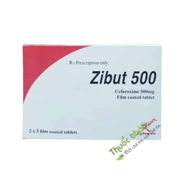 Zibut 500