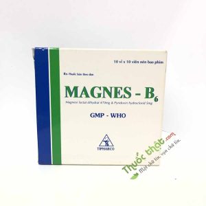 Magnes-B6