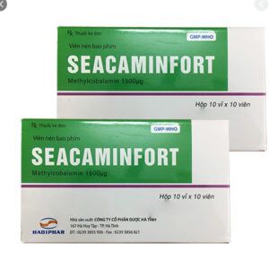 Seacaminfort 1500