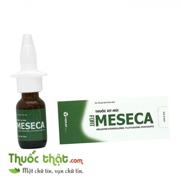 Meseca fort