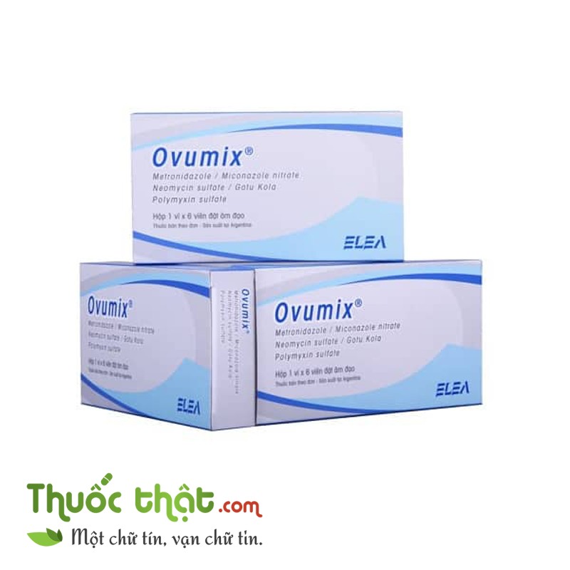 Nhà Phân Phối Thuốc Thật