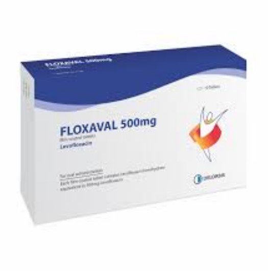 Floxaval 500mg - Thuốc điều trị nhiễm khuẩn hiệu quả 