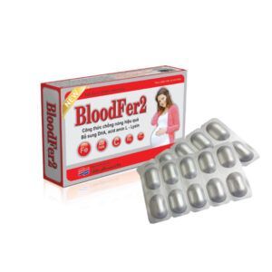 Blood Fer 2 hộp 30 viên - Bổ sung sắt và acid folic