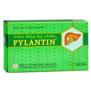 Viên diệp hạ châu Pylantin