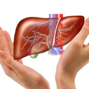 Batonat - bảo vệ gan