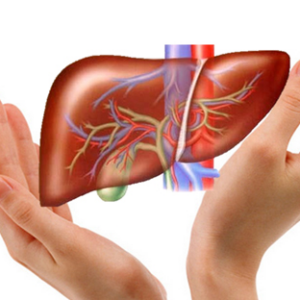 Bivantox- Bảo vệ gan