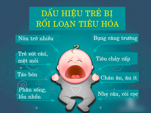 Nhuận táo BIBO - trị rối loạn tiêu hóa