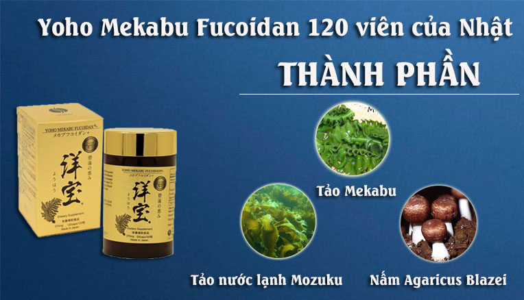 Yoho Mekabu Fucoidan Thành phần