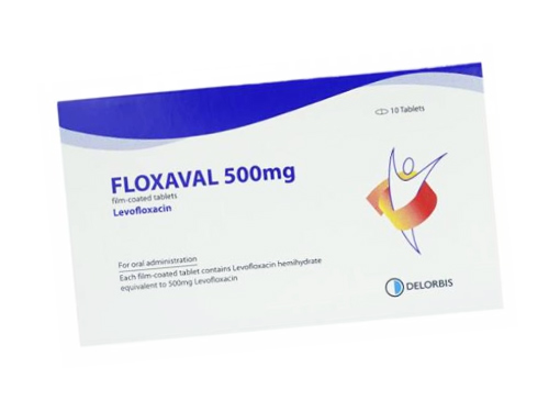 Floxaval 500mg - Chống chỉ định