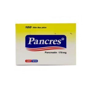 Pancres hộp 100 viên