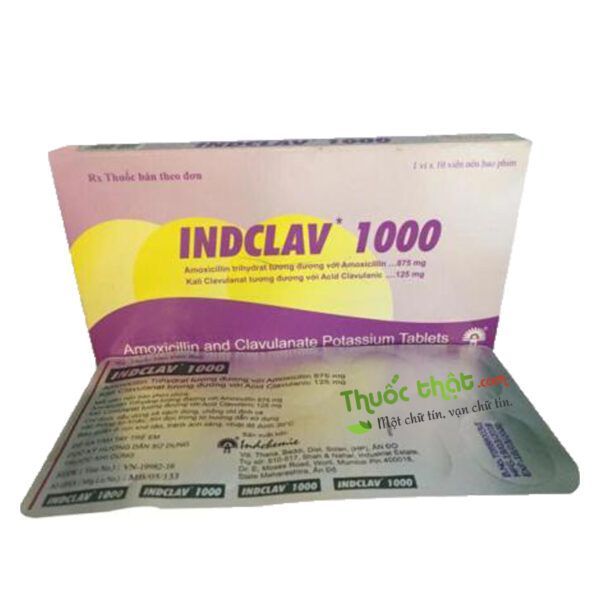 Indclav 1000