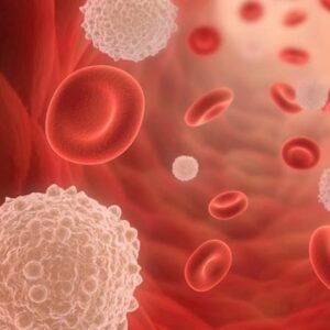 bạch cầu trung tính