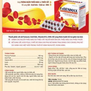 FeBenmax Hộp 100 Viên