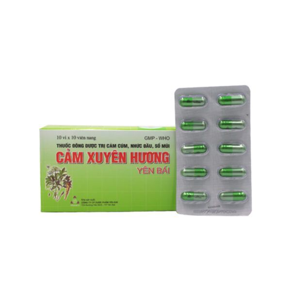 Cảm Xuyên Hương Hộp 100 viên - Điều trị cảm cúm