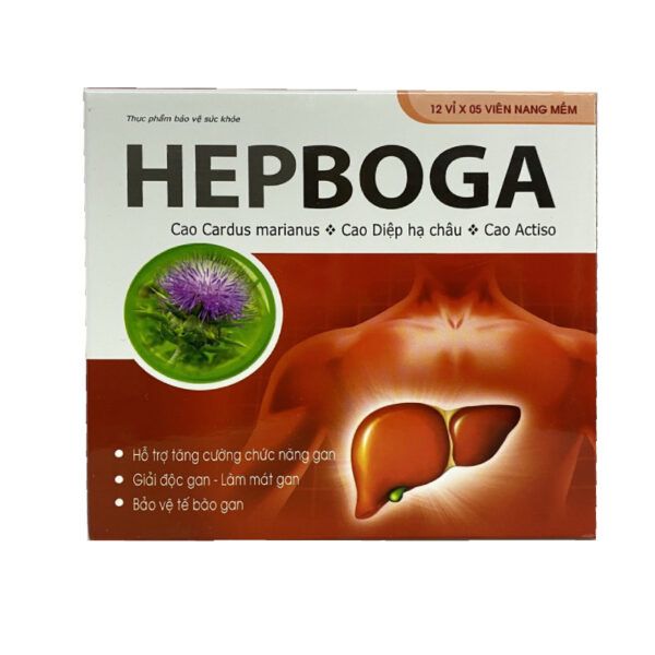 HEPBOGA Hộp 60 Viên - Hỗ Trợ Tăng Cường Chức Năng Gan