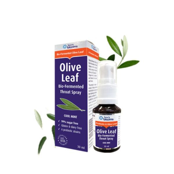 Olive Leaf Chai 30ml - Xịt Hầu Họng Ngăn Ngừa Vi Khuẩn