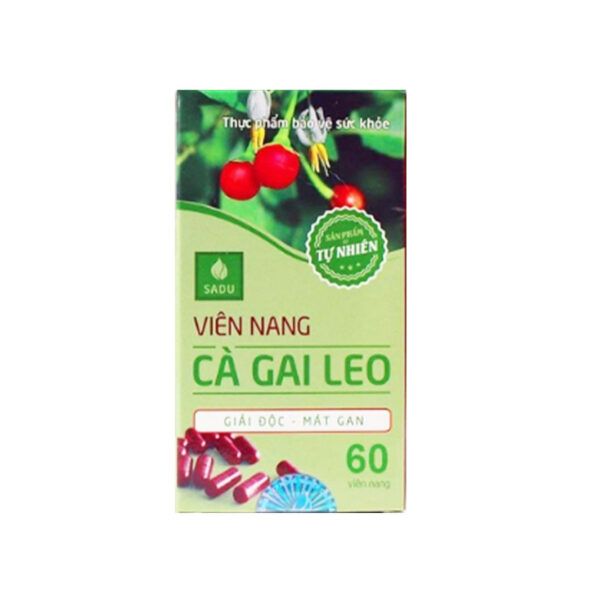 Viên Nang Cà Gai Leo Hộp 60 Viên - Tăng Cường Chức Năng Gan