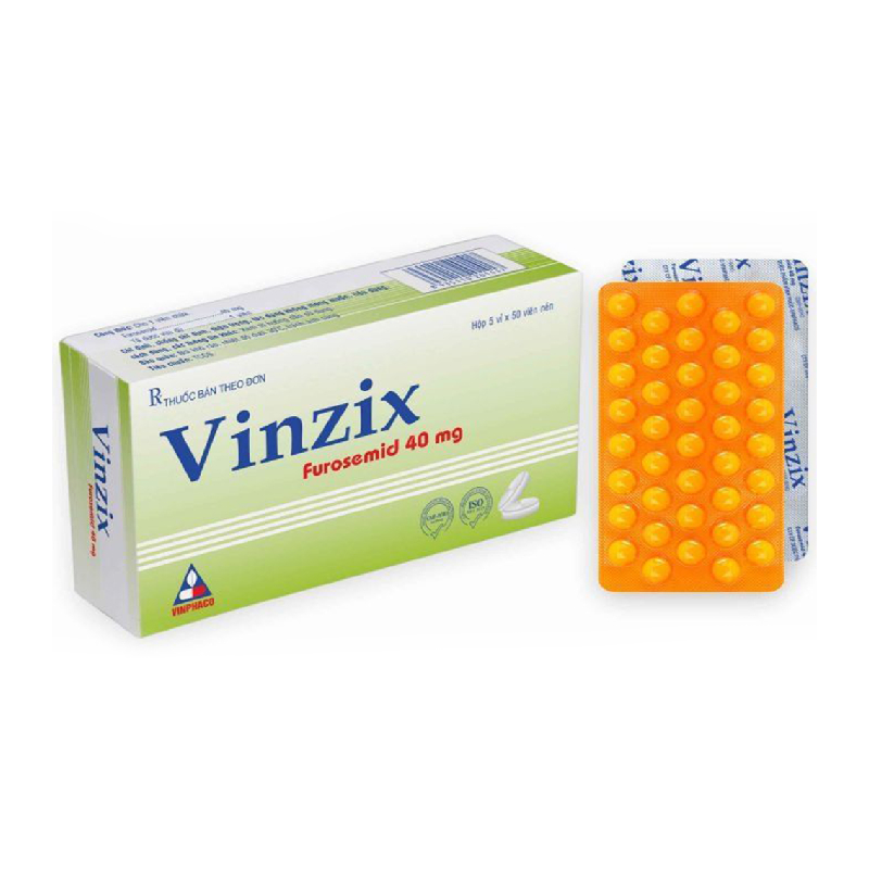 Vinzix 40Mg Hộp 250 Viên